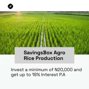 BEST INVESTMENT APP IN NIGERIA 2025 visual data 8