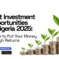 Best Investment Opportunities in Nigeria 2025: Where to Put Your Money for High Returns