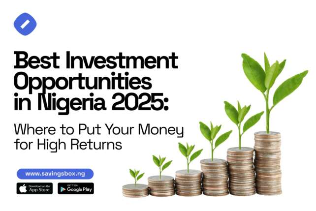 BEST INVESTMENT APP IN NIGERIA 2025 visual data 7
